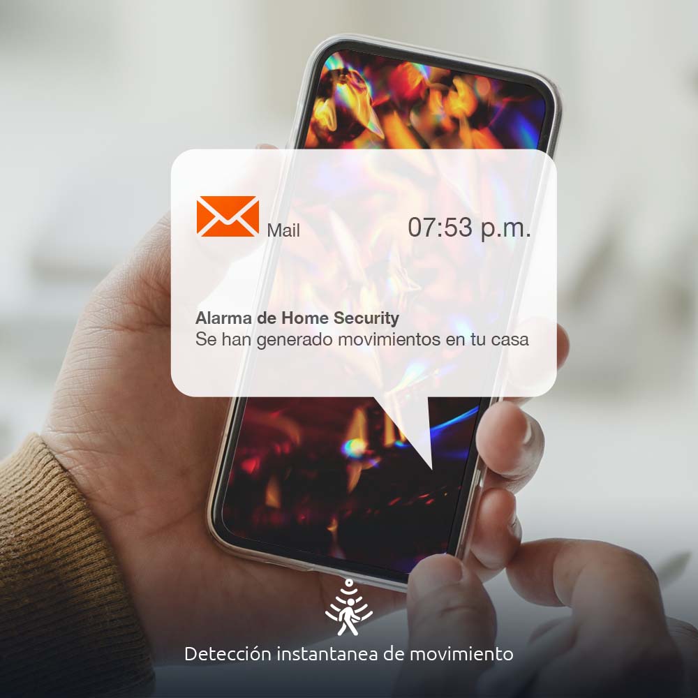 Contenido de la caja del producto