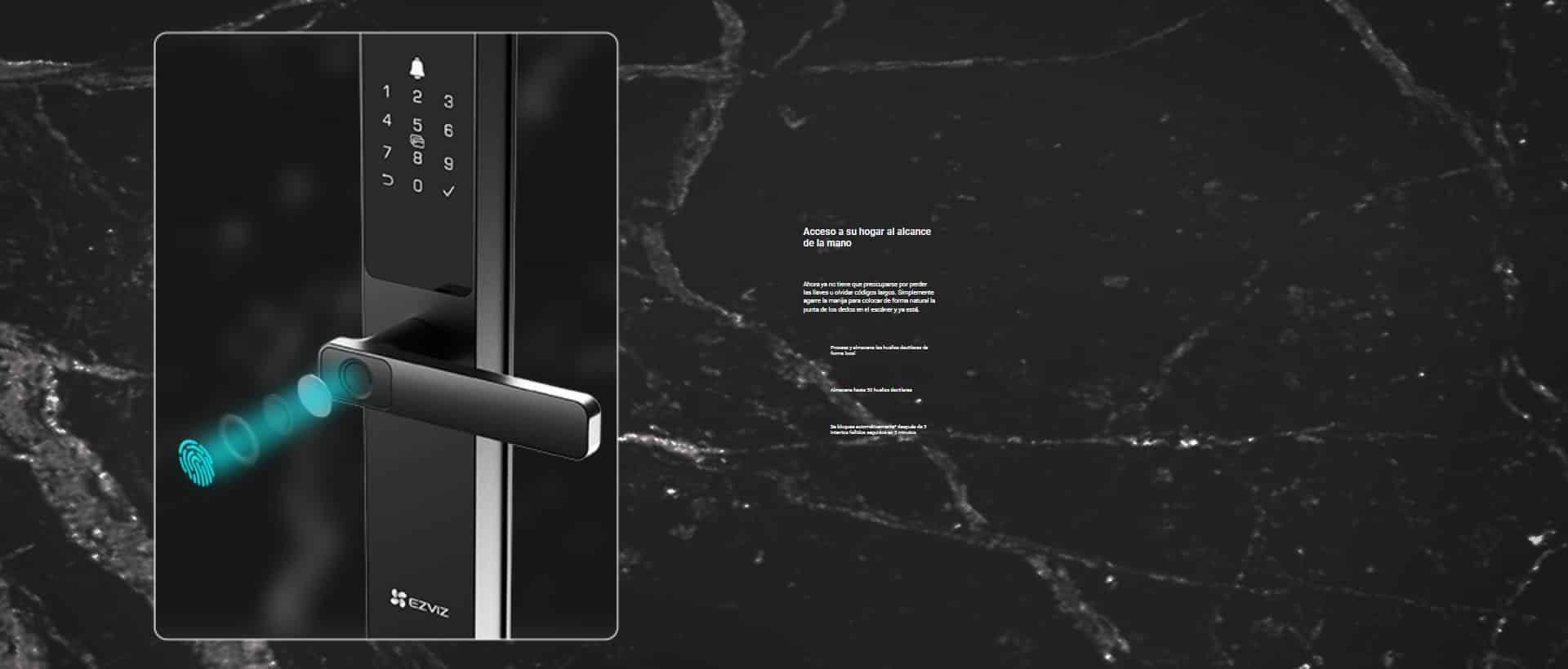 Contenido de la caja del producto