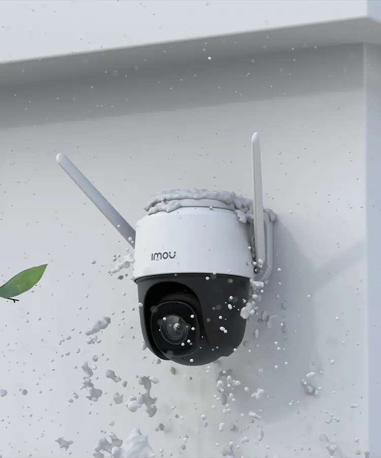 Contenido de la caja del producto